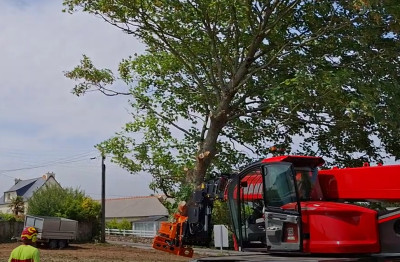 Coupe et déplacement d'un arbre de 2.4t!!