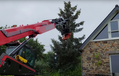 Démontage d'un sapin