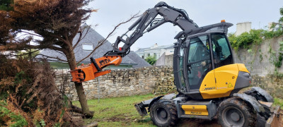 Enlèvement d'une haie de cyprès 