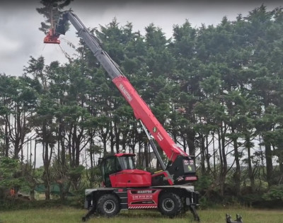 Réduction d'une haie de 20m de haut